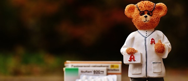 bear-1821456_640